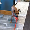 Thumbnail photo of Frannie #4