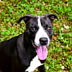 Thumbnail photo of Coco #1