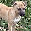 Thumbnail photo of Parker #1