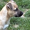 Thumbnail photo of Parker #4