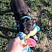 Thumbnail photo of Jenny #2