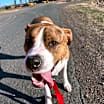 Thumbnail photo of Dora #1