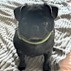 Thumbnail photo of Peter #3