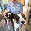 Thumbnail photo of Barney #2