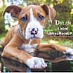 Thumbnail photo of Dylan #3