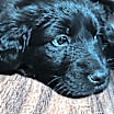 Thumbnail photo of Kasey  #3