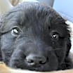 Thumbnail photo of Kasey  #4