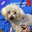 Thumbnail photo of Julien #1
