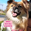 Thumbnail photo of Ellen #1