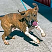 Thumbnail photo of Kelsa  #4