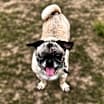 Thumbnail photo of Chiquita #1