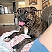 Thumbnail photo of Kiki #1