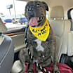 Thumbnail photo of Kiki #2