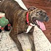 Thumbnail photo of Kiki #3