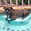 Thumbnail photo of Kiki #4