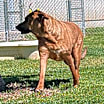 Thumbnail photo of Jazz #4