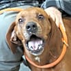 Thumbnail photo of Willis #1