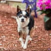 Thumbnail photo of Mick #3