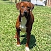 Thumbnail photo of Bella #1