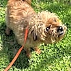 Thumbnail photo of Luna #3