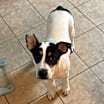 Thumbnail photo of Spud #1
