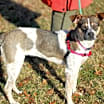 Thumbnail photo of Millie #3