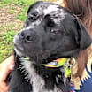 Thumbnail photo of OJ #3