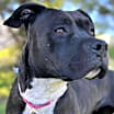 Thumbnail photo of Mala #1