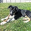 Thumbnail photo of Jaina (fka Thumper) #4