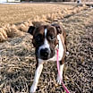 Thumbnail photo of Lola #2
