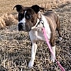 Thumbnail photo of Lola #3
