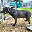 Thumbnail photo of Marty #3