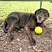 Thumbnail photo of Marty #4