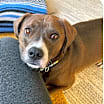 Thumbnail photo of Oso Local #2