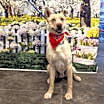 Thumbnail photo of Bond #4