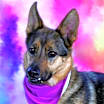 Thumbnail photo of Calista JuM #2