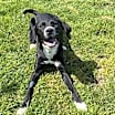 Thumbnail photo of JuneBug #2
