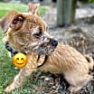 Thumbnail photo of Minnow #3