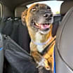 Thumbnail photo of Margarita #4
