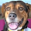 Thumbnail photo of TIPPY #1