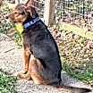 Thumbnail photo of TIPPY #2