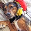 Thumbnail photo of TIPPY #3