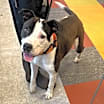 Thumbnail photo of Carl #2