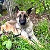 Thumbnail photo of Nyla #1