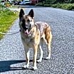Thumbnail photo of Nyla #2