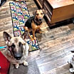 Thumbnail photo of Nyla #3