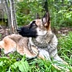 Thumbnail photo of Nyla #4
