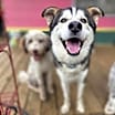 Thumbnail photo of Oso #2