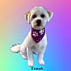 Thumbnail photo of Emmah #2