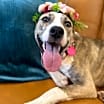 Thumbnail photo of Xyla the Confident Little Lady #1